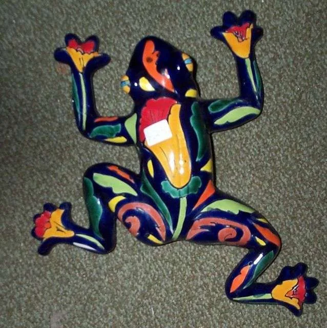 tn_Colourful_frog2_1.webp