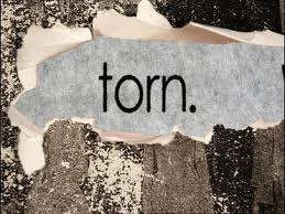 torn.webp
