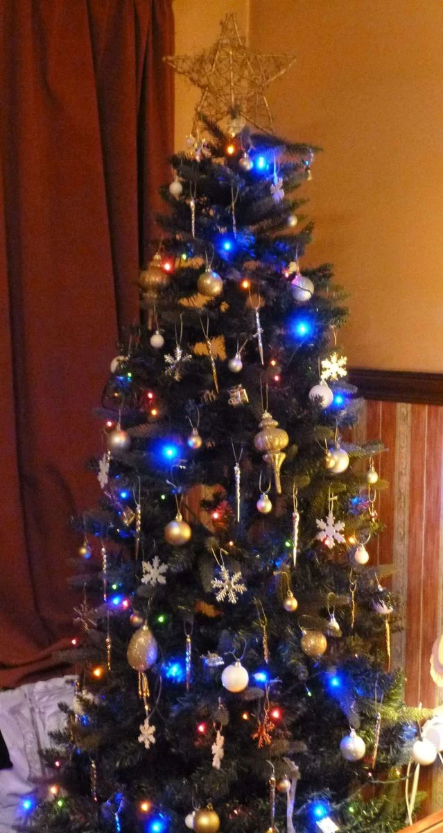 Tree 2.webp