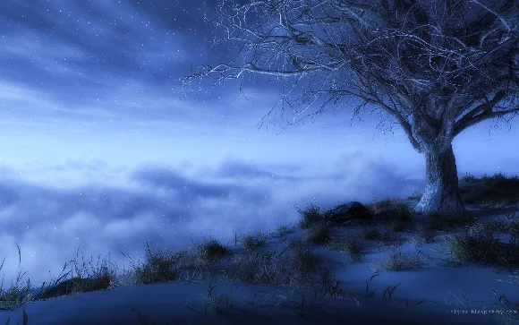 tree and fog.webp