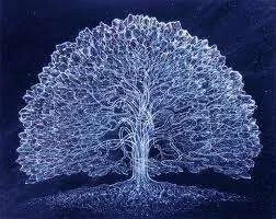 tree for annie.webp