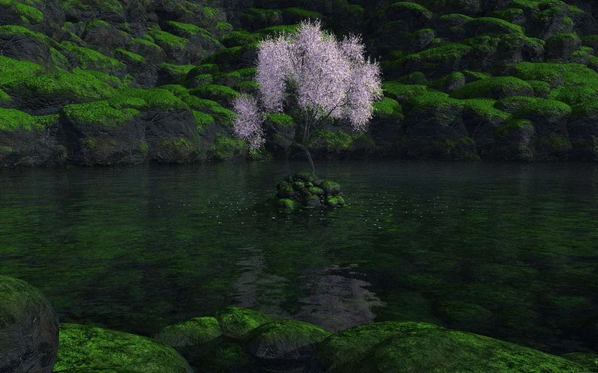 tree.webp