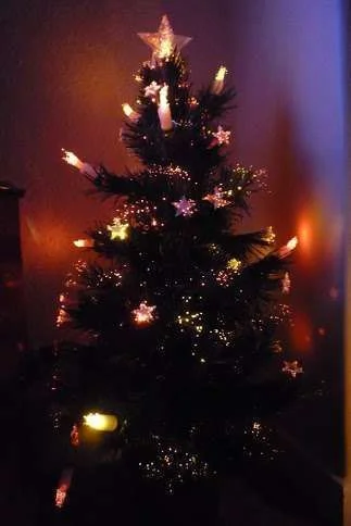 tree1 (2).webp
