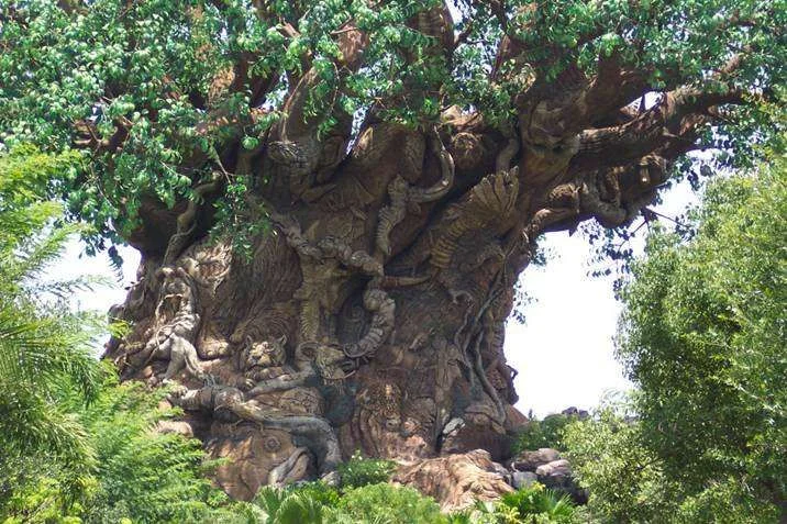 tree3.webp