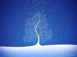 tree4.webp
