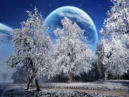tree5.webp