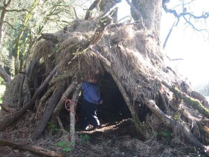 treecave-720x540.webp