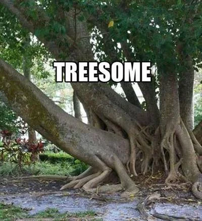treesome.webp