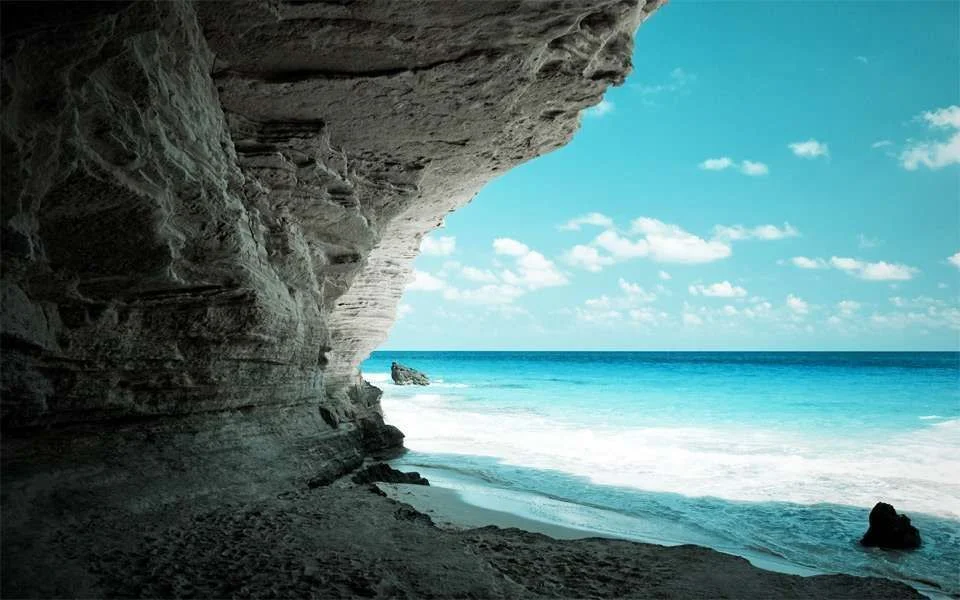 tropical-paradise.webp
