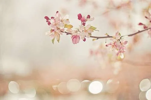 tumblr_liu4y3s5Kl1qzikzco1_500_large.webp