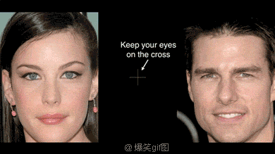 tumblr_mlsx6zmo6d1s6x0pho1_400[1].gif