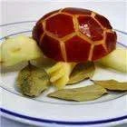 turtle.webp