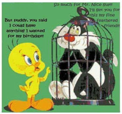 Tweety b-day.webp