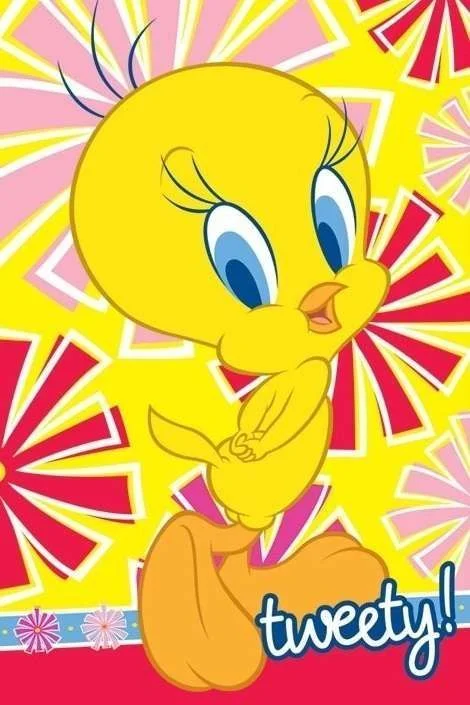 Tweety-Bird-tweety-bird-5951989-470-705.webp