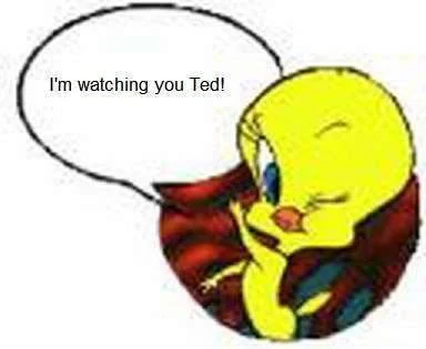 Tweety_picture_0151.webp