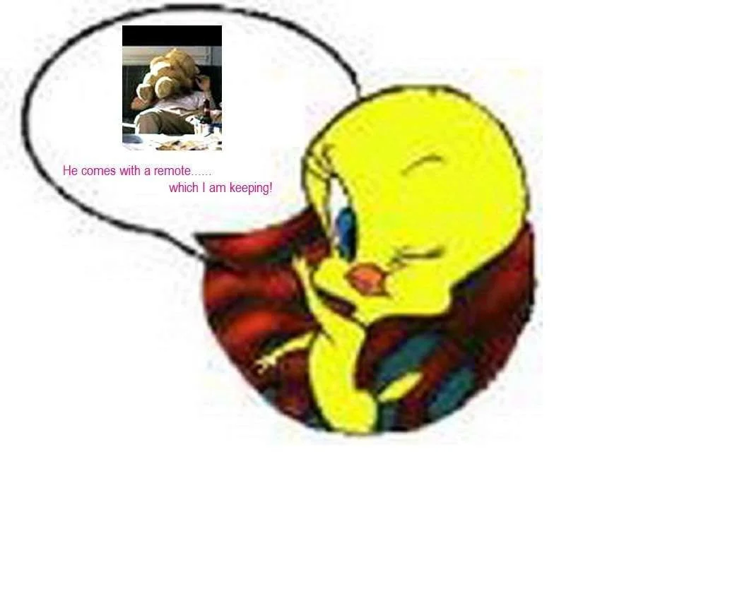Tweety_picture_0151.webp