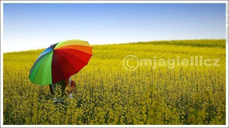 Under_my_umbrella_by_mjagiellicz.webp
