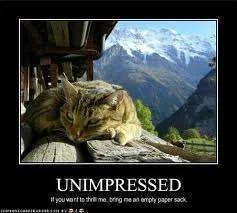 Unimpressed.webp