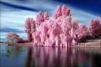 Unknown.webp