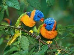 Unknown.webp