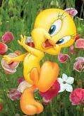 Unknown.webp