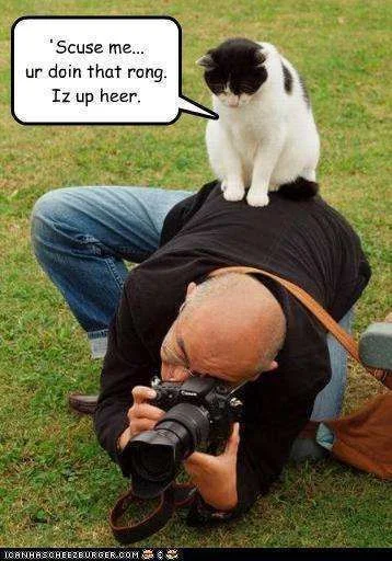 up here.webp