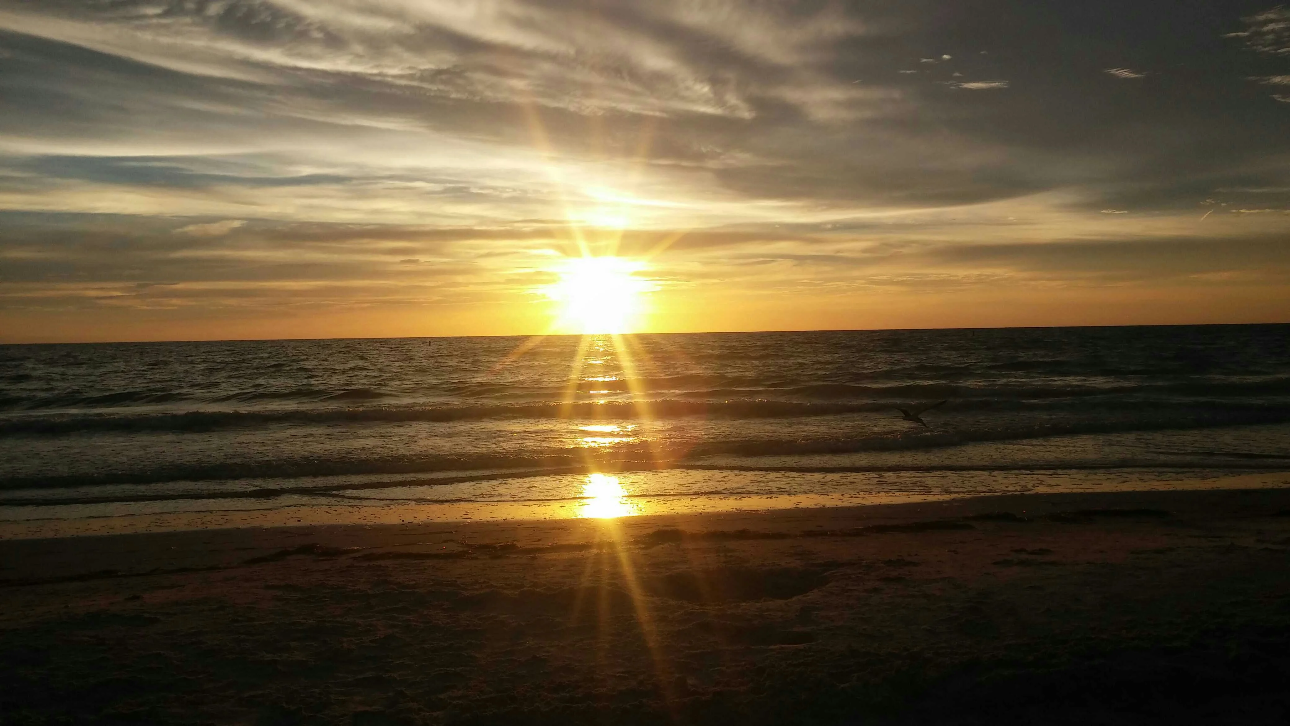 uploadfromtaptalk1407197147758.webp