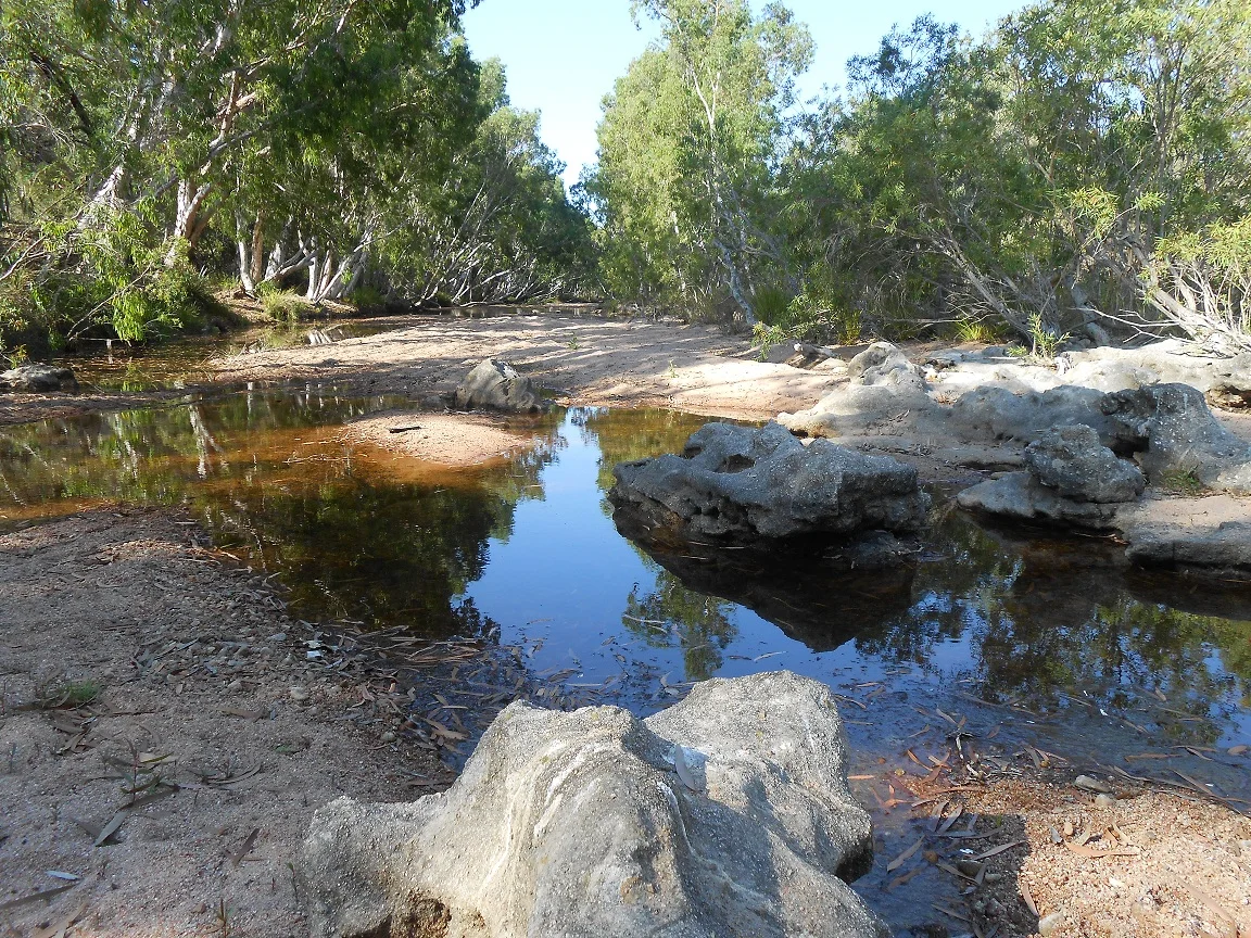 upthecreek.webp