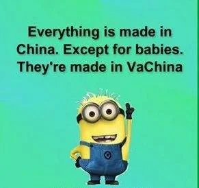vachina.webp