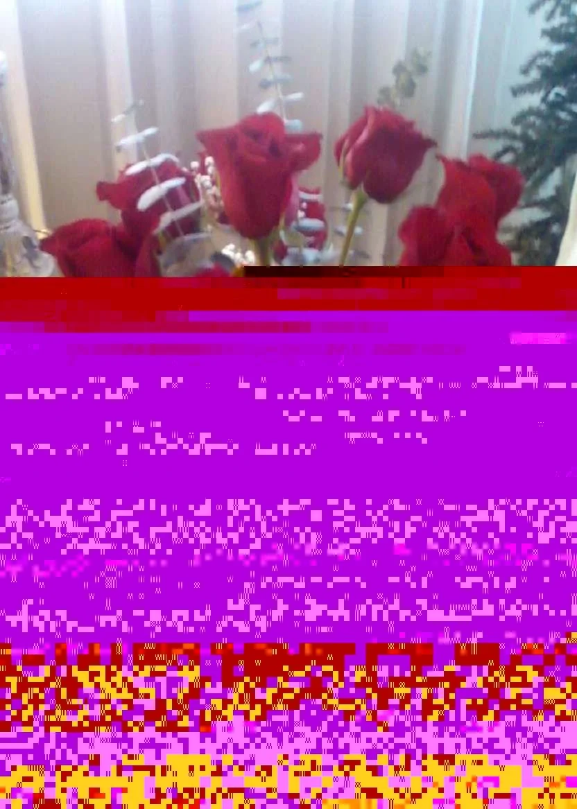 valentine roses 3.webp