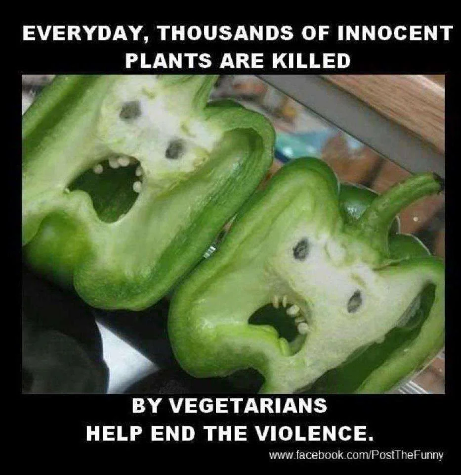 veggies..webp