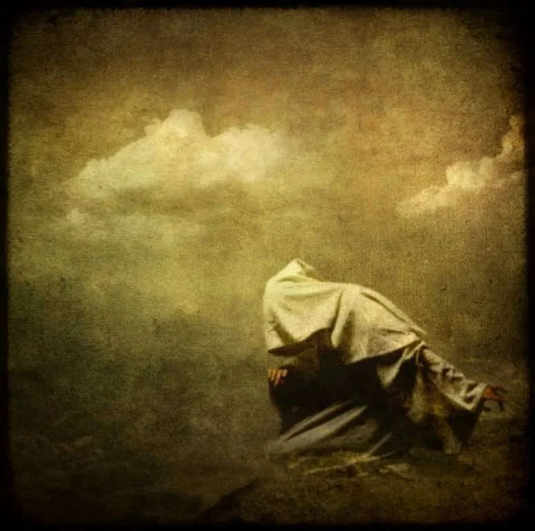 Veiled_Anguish_by_Murmele.webp