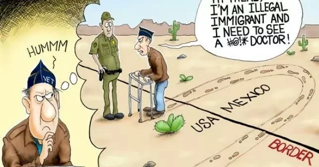 vet.webp
