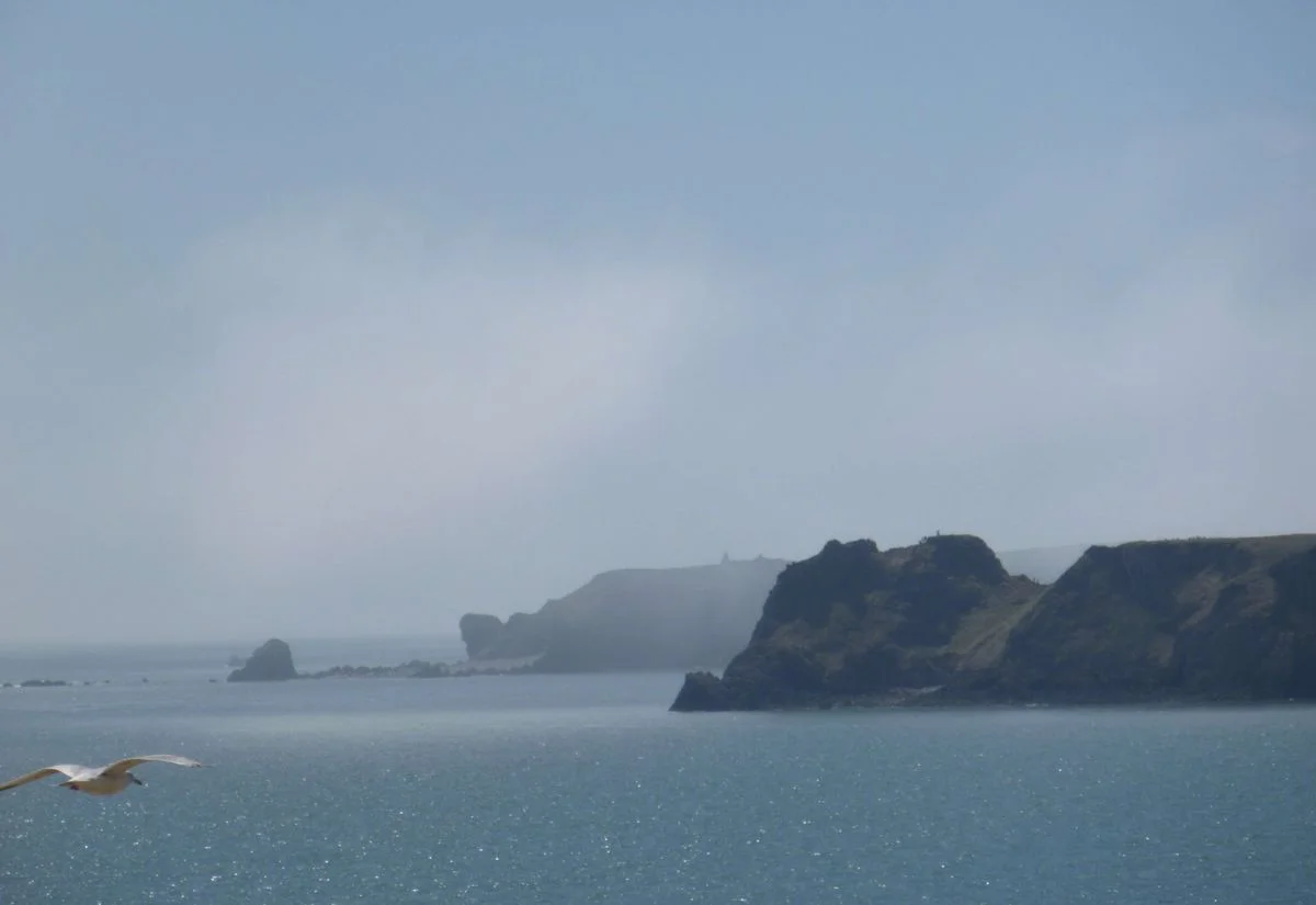 View from Amroth.webp