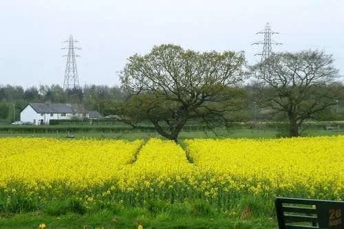 village 1.webp