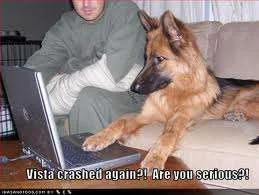 Vista crashed again.webp