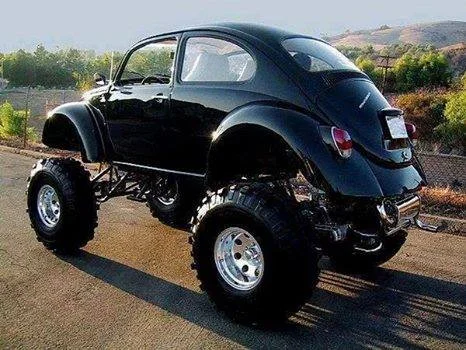vw bug.webp