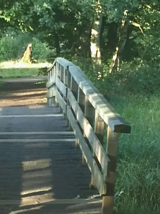 walk4.webp