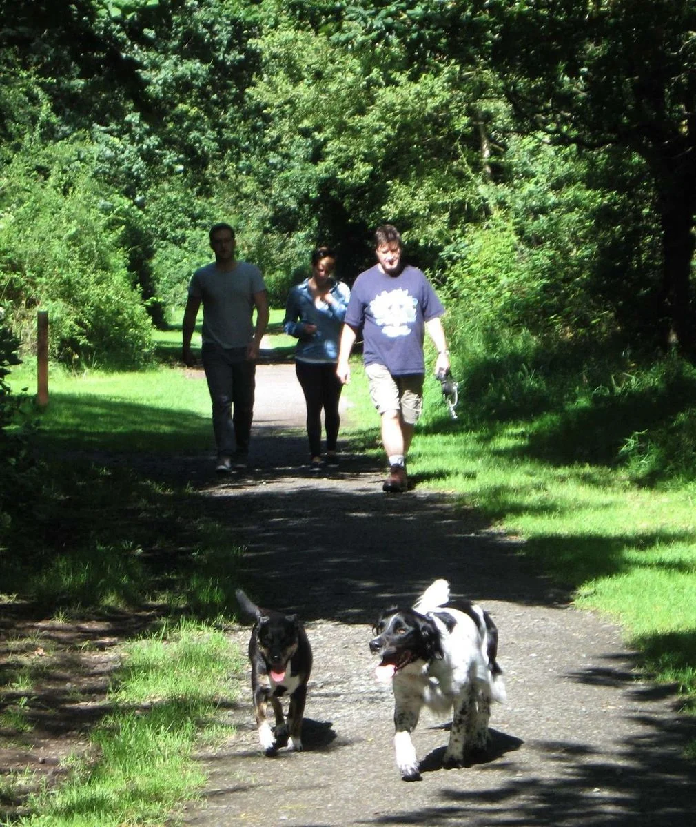 Walking.webp