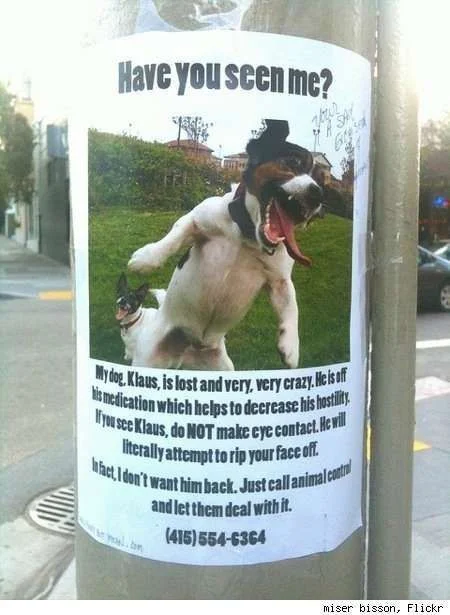 watch-out-for-this-lost-dog-32439-1314039399-13.webp