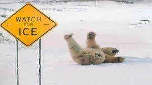 Watch thie ice.webp