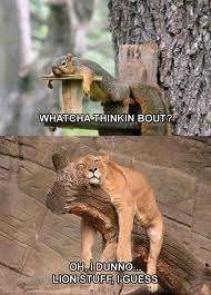 Watcha thinkin about.webp