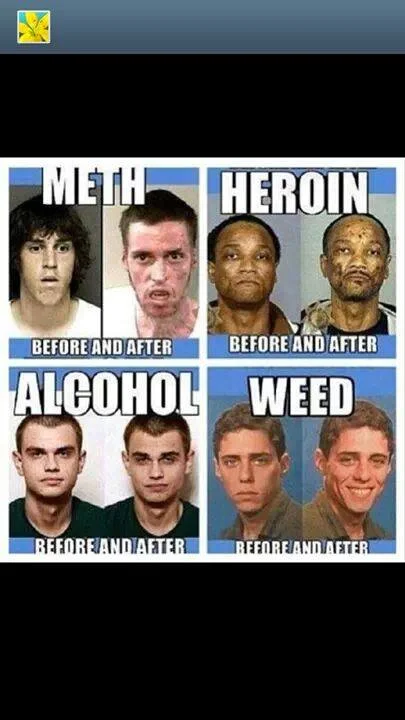 Weed.webp