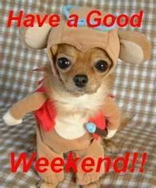 weekend.webp