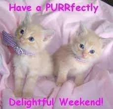 weekend.webp