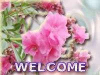 welcome.webp
