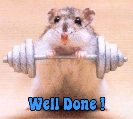 Well%20Done%20!.webp