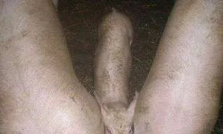 what do you see.webp