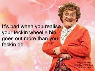 Wheelie Bin.webp