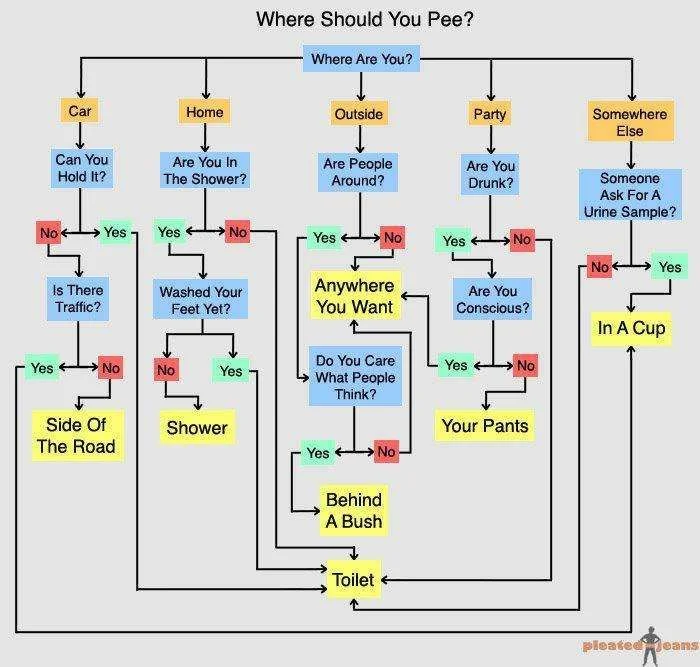 where to pee.webp